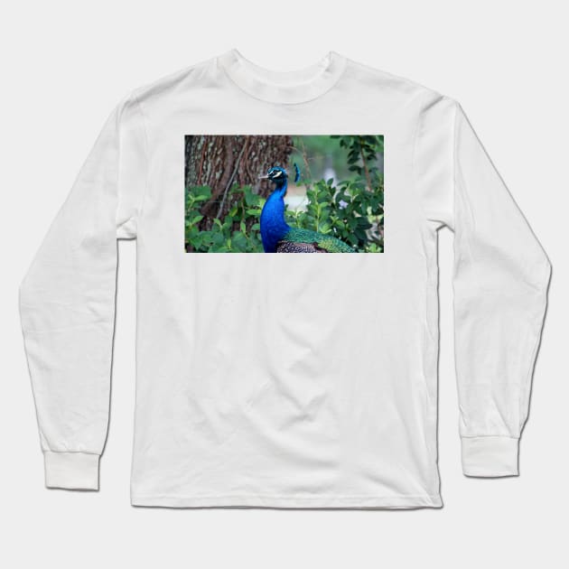 Peacock Profile Long Sleeve T-Shirt by Cynthia48